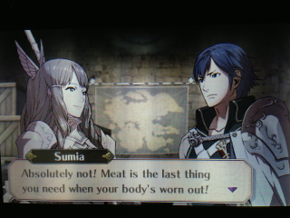 Illustration for article titled This Is What Romance Looks Like In Fire Emblem: Awakening